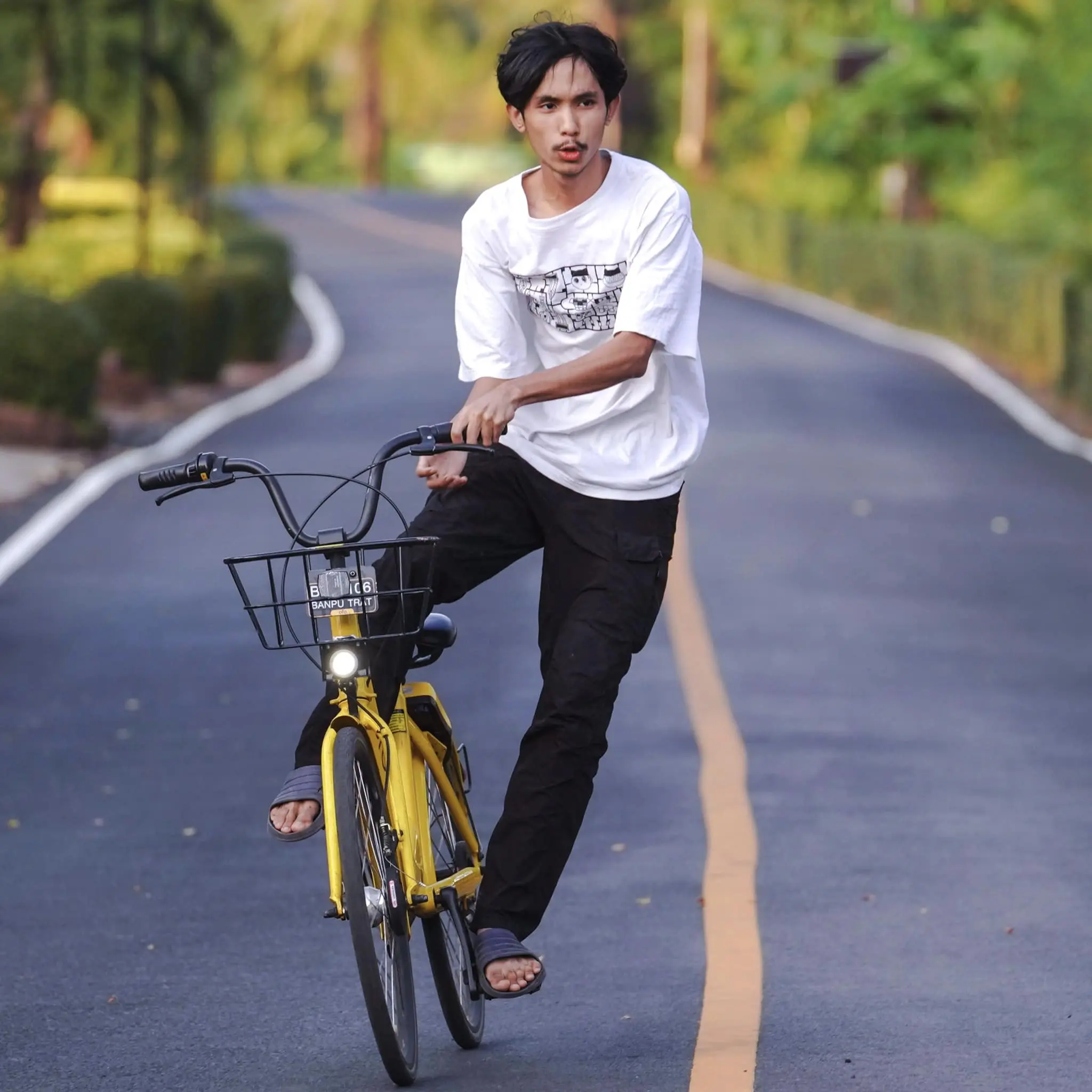 ภาพ-แฟรงค์-min