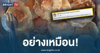 ไข่วีแกน -ปก-min