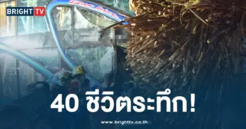 ชนท้ายรถอ้อย-min