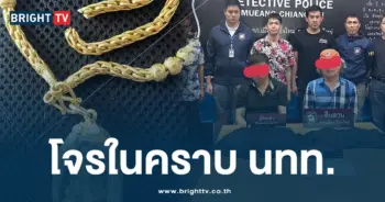 ฉกทอง เชียงใหม่ -ปก-min