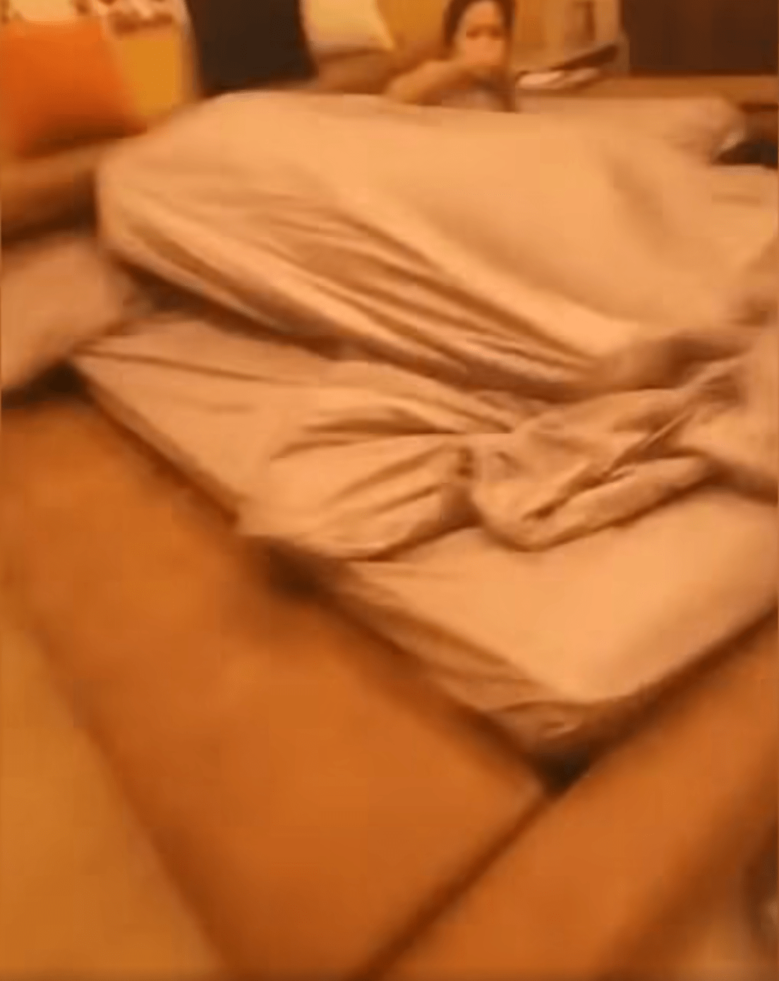 คลิปพระกับนักการเมือง