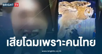 ฟันหลุด-ปก-min