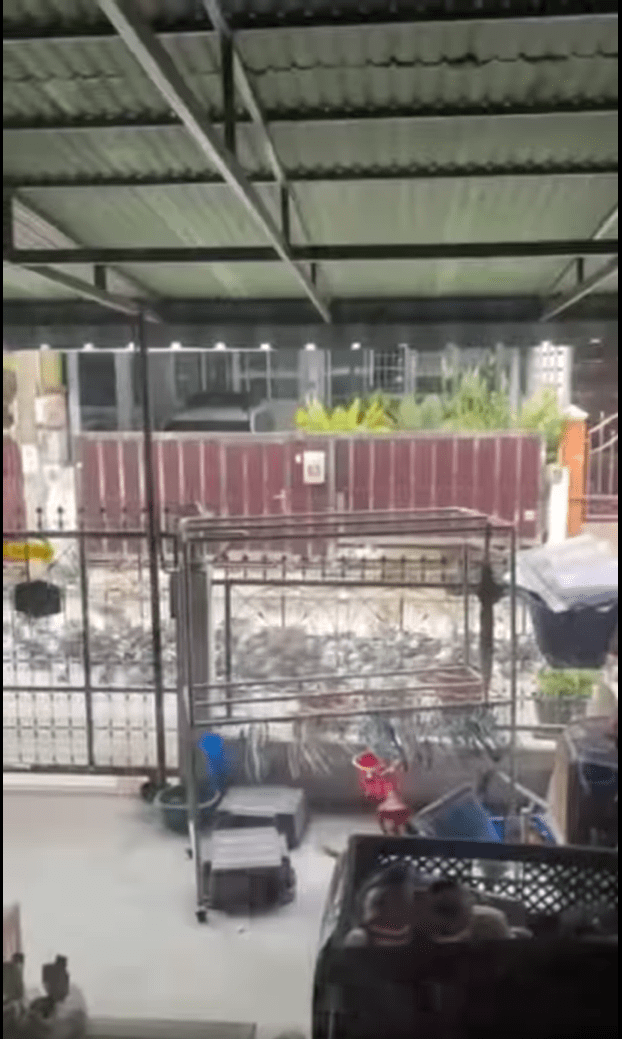 เพื่อนบ้านโวยหนุ่มรักสัตว์