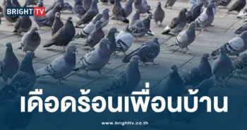 เพื่อนบ้านเดือดร้อน-min