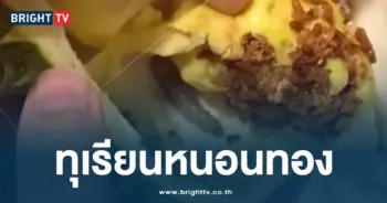 ทุเรียนหนอนทอง-min