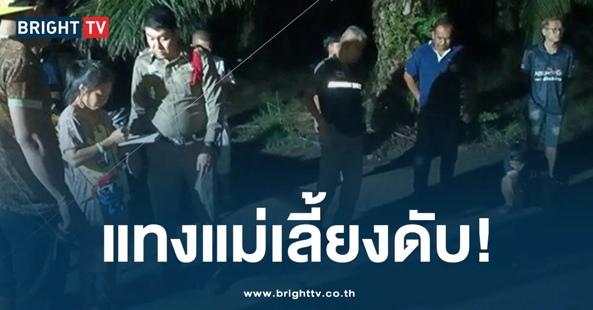 แทงแม่เลี้ยง-ปก-min