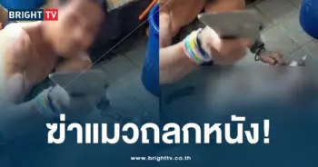 หนุ่มพม่าฆ่าแมว