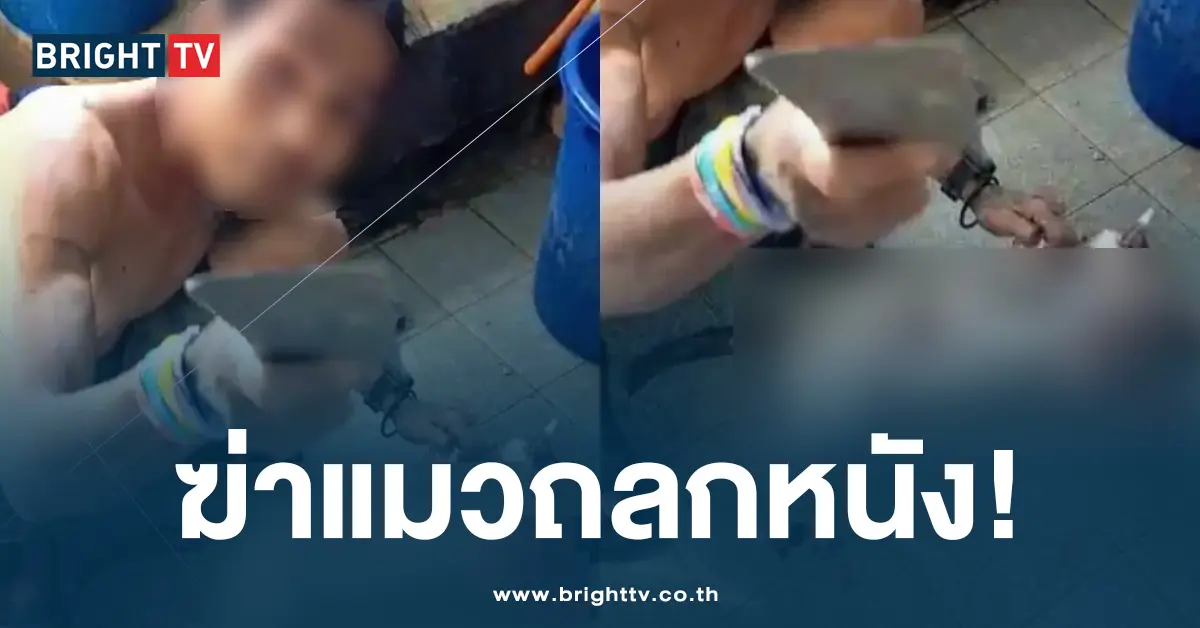 หนุ่มพม่าฆ่าแมว