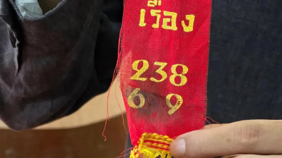 447733011 452500204205741 1798330813354836395 n