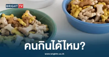 คนกินอาหารหมา - แมว-min