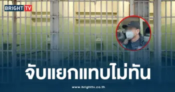 ญาติชาดา-min