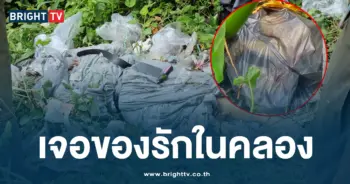 เจอของรักในคลอง