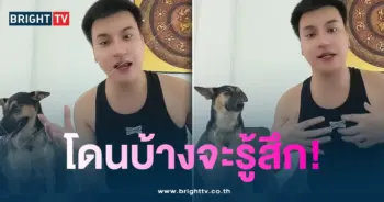 บูม-หมา-min