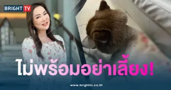 บุ๋ม-สุนัข