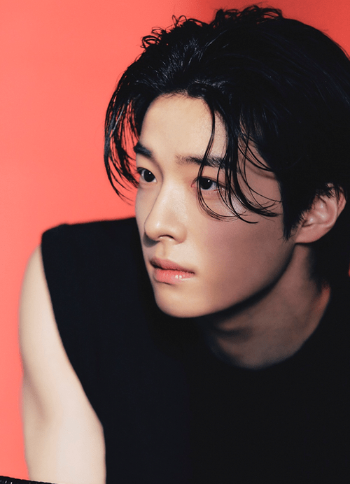 นักแสดง นัมดารึม-min
