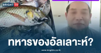 ทหารของอัลเลาะห์