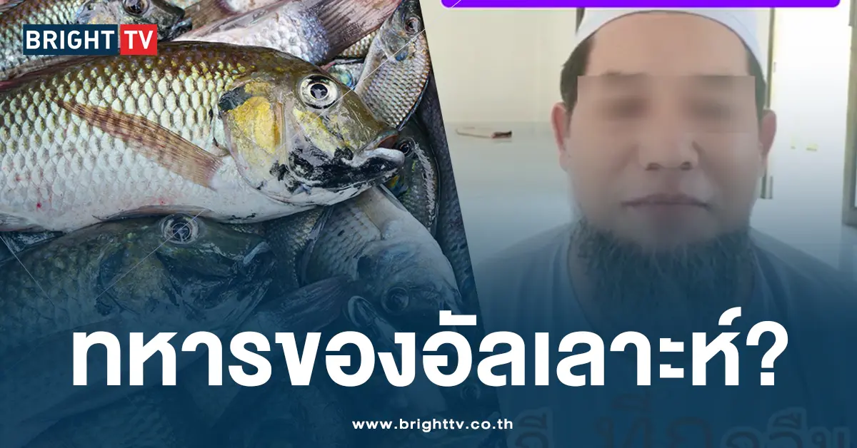 ทหารของอัลเลาะห์