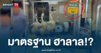 ข้าวมันไก่ ฮาลาล-ปก-min
