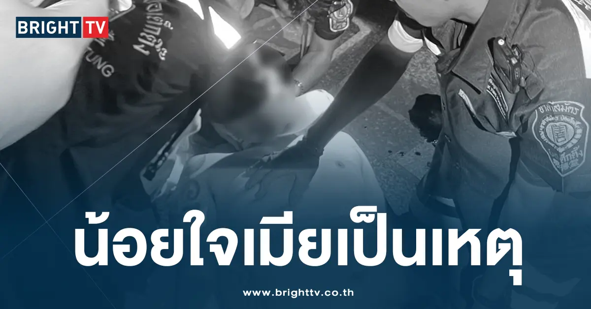 น้อยใจเมีน