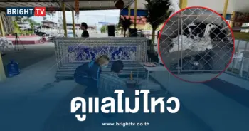 ดูแลไม่ไหว
