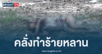 ชายคลั่งทำร้ายหลาน-min