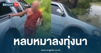 พระเมา หลบหมา
