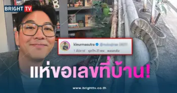 งูเลื้อยข้างบ้านเกลือ-1-min