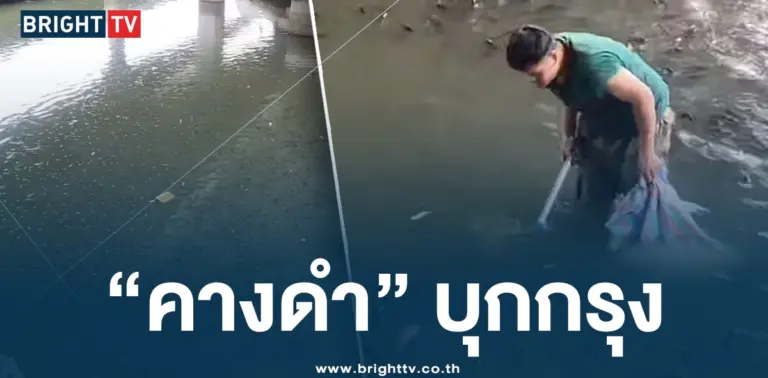 ปลาหมอคางดำ -ปก-min