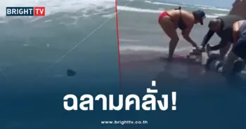 ฉลามบุก