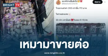 เหมากิ๊บมาขายต่อ-min