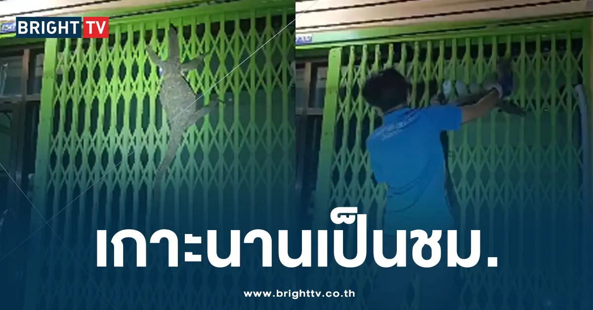 เกาะนานเป็นชม