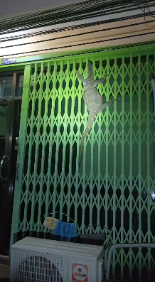 เลขเด็ด