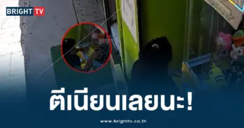 ขโมยตุ๊กตา