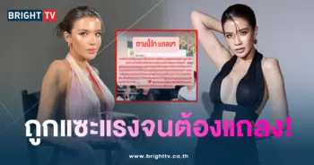 ใบเตยปก