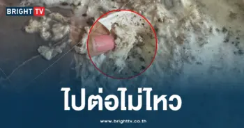 ไปต่อไม่ไหว ไอศกรีม
