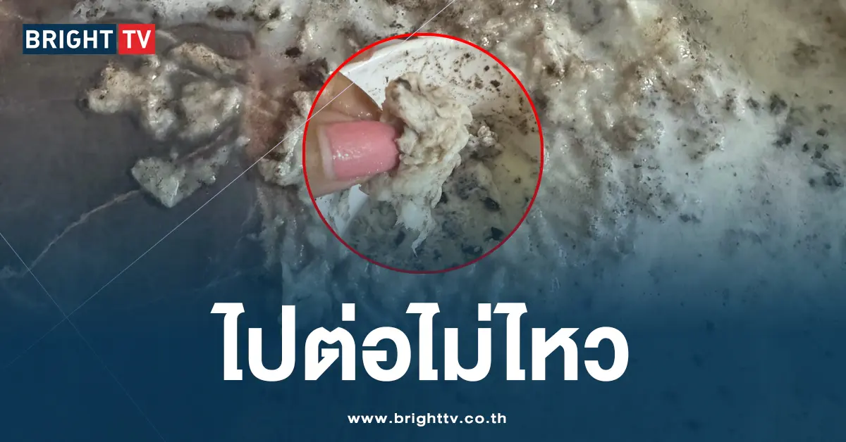ไปต่อไม่ไหว ไอศกรีม