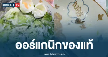 ออร์แกนิก