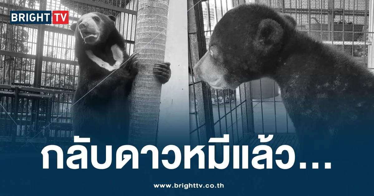 น้องอัญชัน