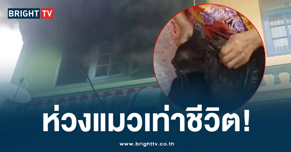 ไฟไหม้ ยายหิ้วแมว