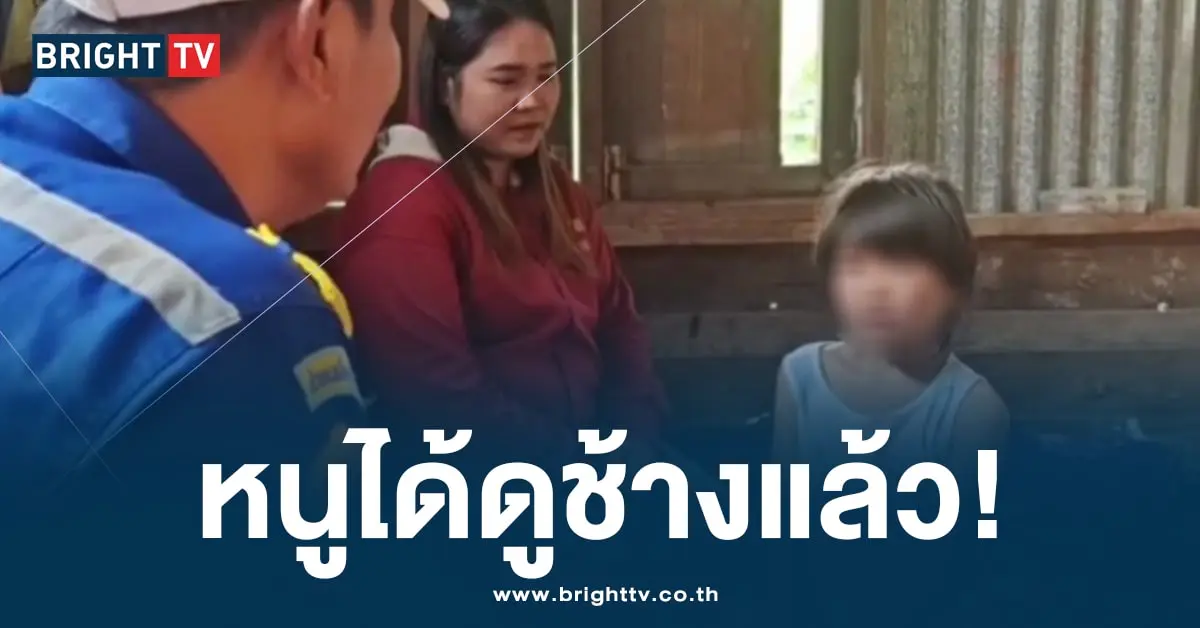 น้อง 8 ขวบ เดินไปดูช้าง-min