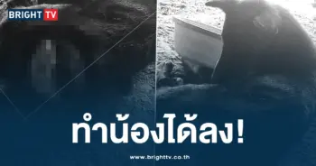 ทำน้องได้ลง