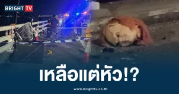 เจ้าหน้าที่ศุลกากร (1)-min
