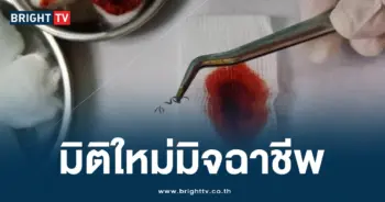 มิจฉาชีพ (1)-min (1)