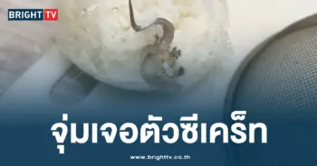 จุ่มเจอตัวซีเคร็ท