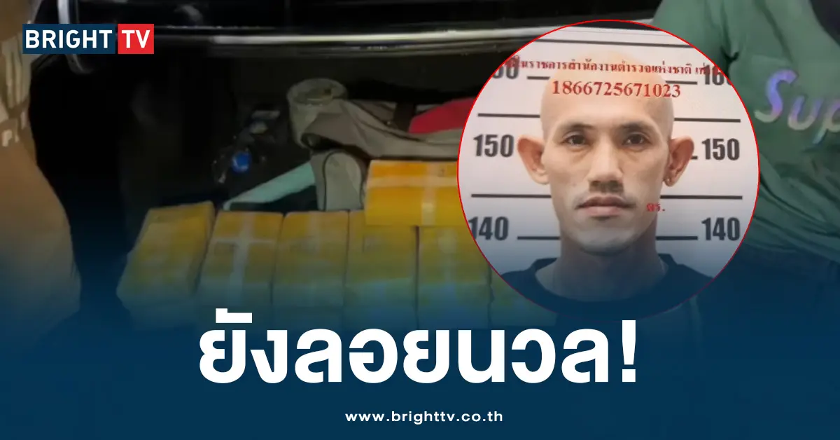 แก๊งค้ายา