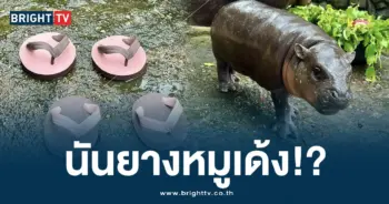 หมูเด้ง (15)-min
