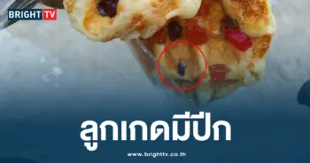 ลูกเกดมีปีก