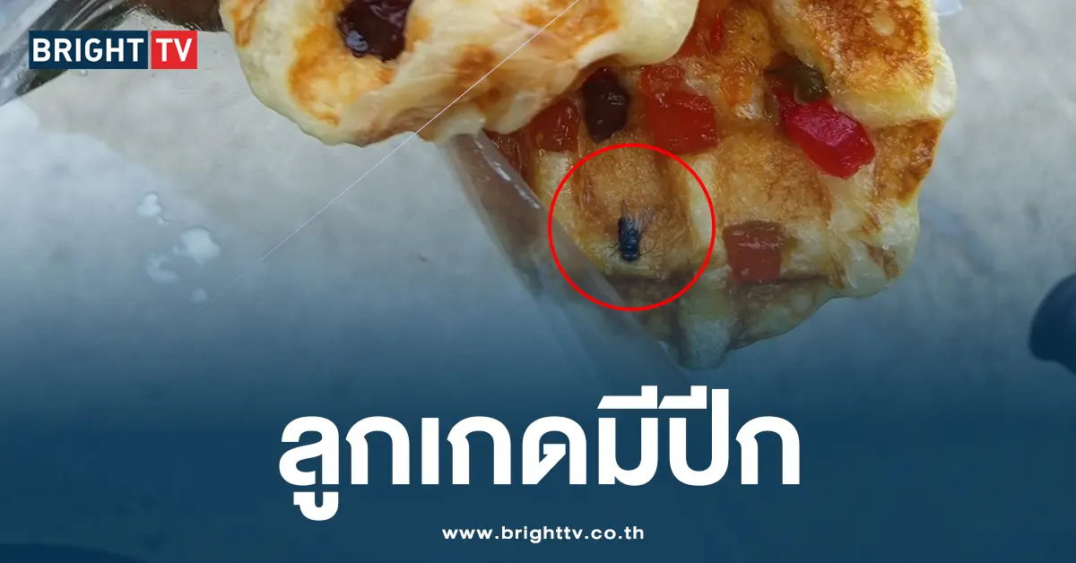ลูกเกดมีปีก