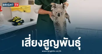 เสี่ยงสูญพันธุ์