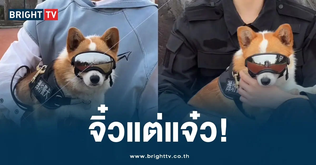ฟู่ไจ๋ (1)-min